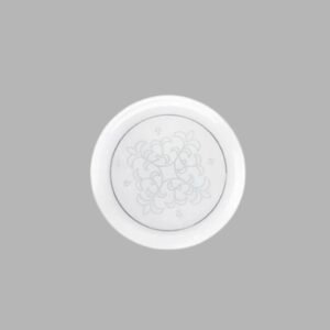 PLATO 6 CRISTAL LLANO X 06 UNDS